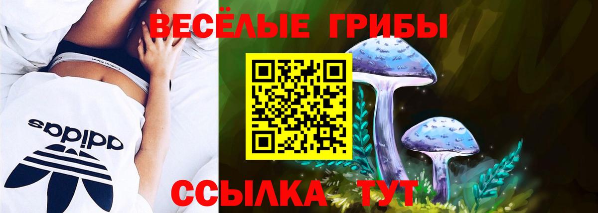 Псилоцибиновые грибы Cubensis  Вход с VPN  Киров 